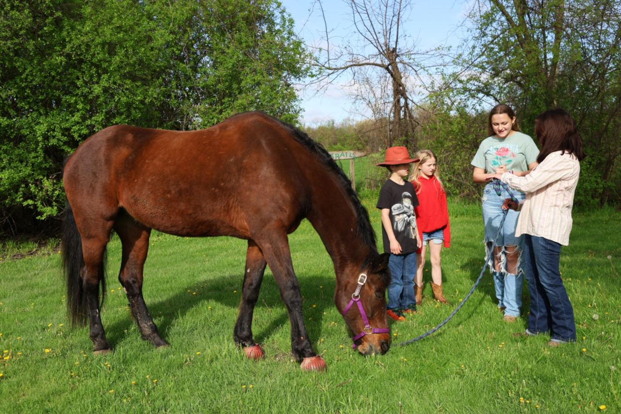 A quiet moment of connection alongside a horse in open air